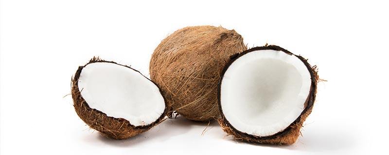 椰子属于水果吗 椰子属于什么性质的水果
