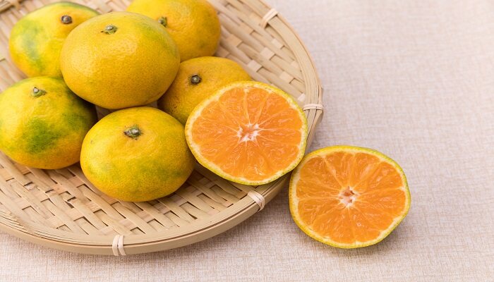 茶枝柑和橘子的区别有哪些 茶枝柑与普通柑的区别