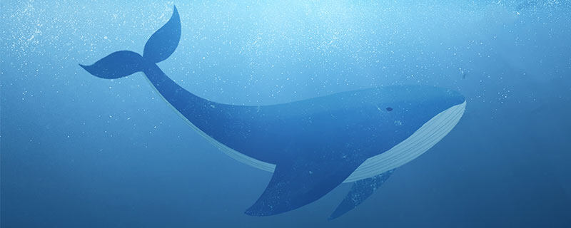 鲸鱼有什么象征意义 鲸鱼象征的意义