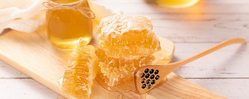 雪蜜和蜂蜜的区别有哪些 雪蜜是什么蜂蜜
