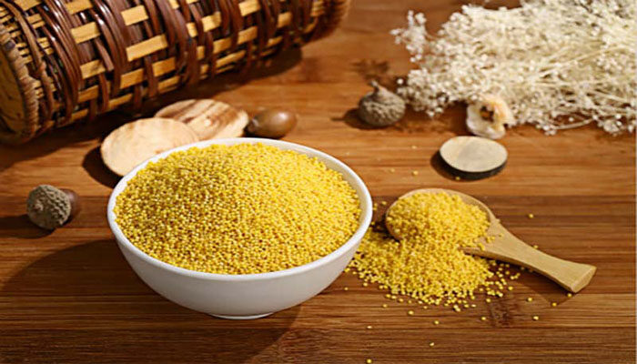 糯小米和黄小米的区别 糯黄小米和黄小米的区别