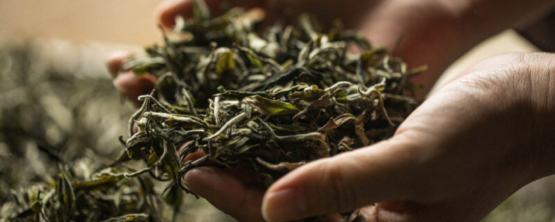 龙须茶是啥茶 龙须茶的简介