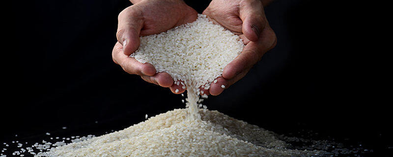 大米是啥农作物 大米是经济作物吗