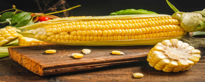 玉米淀粉和淀粉的区别有哪些 玉米淀粉与淀粉的区别