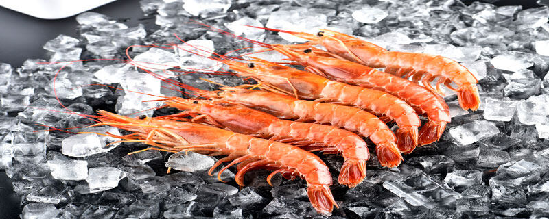 元宝虾和北极甜虾的区别有哪些 元宝虾是不是北极甜虾