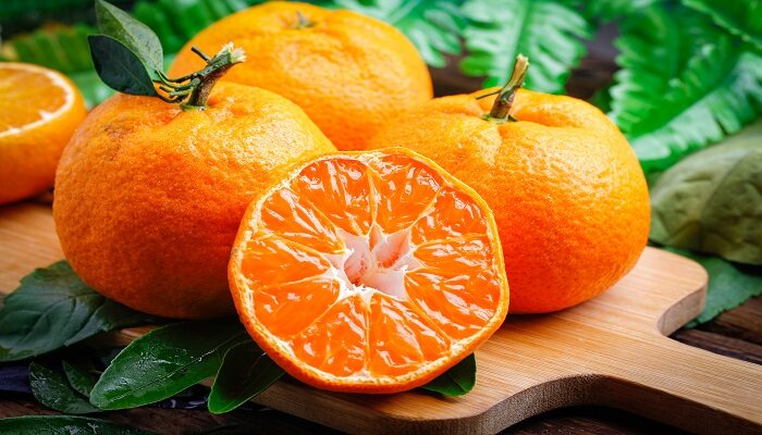 茶枝柑和橘子的区别有哪些 茶枝柑与普通柑的区别