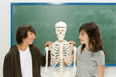 男人与女人的骨骼有什么不同