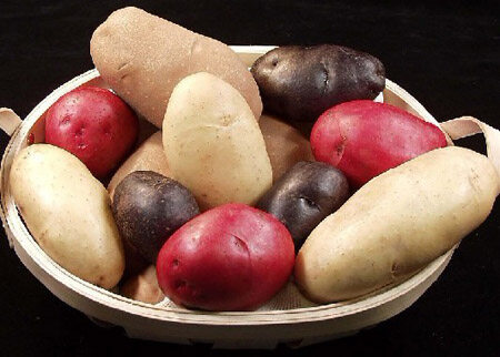 土豆红薯为何不能放在一起