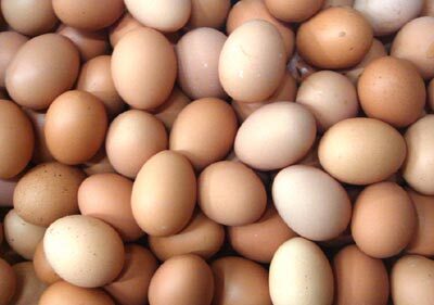 红皮鸡蛋和白皮鸡蛋哪个更有营养
