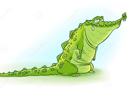 鳄鱼的眼泪是什么 鳄鱼吃猎物时为什么要流眼泪
