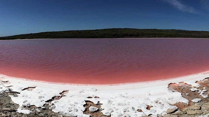 粉色的湖你见过吗