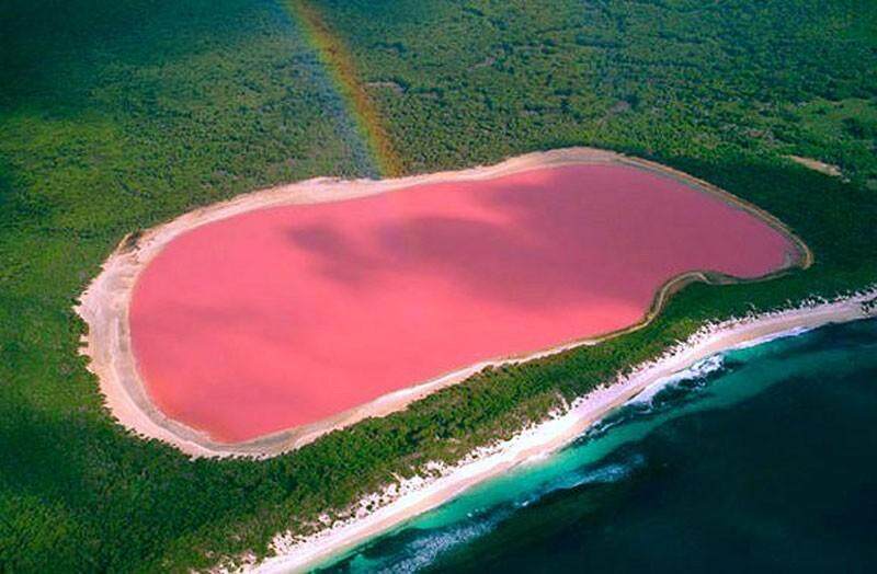 粉色的湖你见过吗