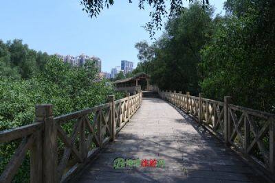 曹县黄河故道生态湿地风景区