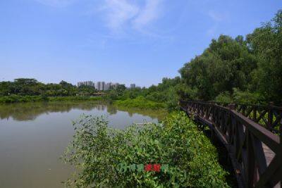 南阳唐河国家级湿地公园