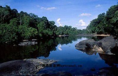 苏里南中心自然保护区