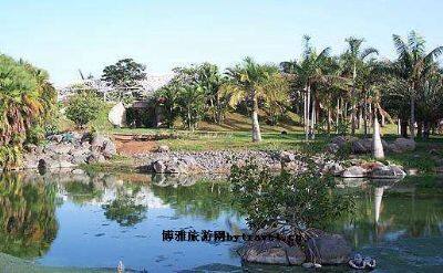 圣克鲁斯-德特内里费棕榈植物园