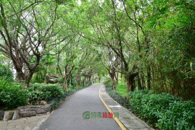 天曌山国家森林公园（原名天台山）
