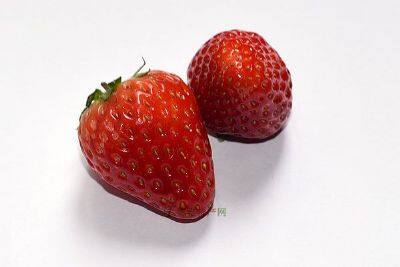 岷县野草莓
