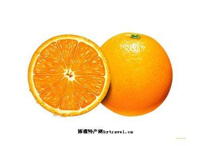 陇川橘子