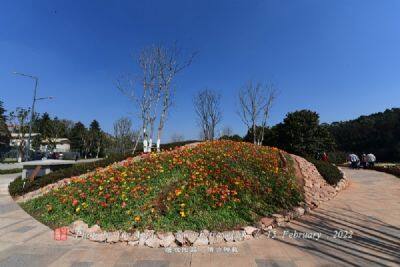 安庆市五千年文博园