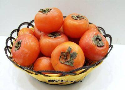 淄川牛心柿