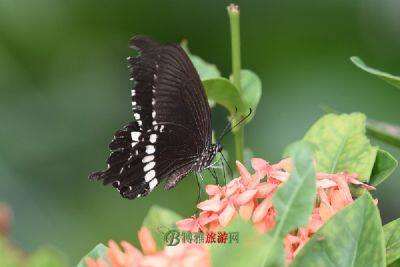 沙河口区中小学生科技中心