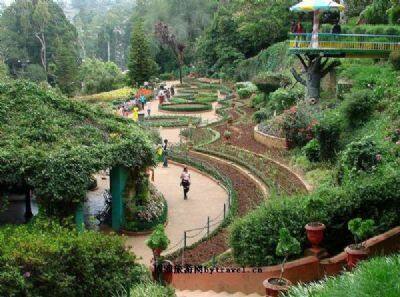 印度乌蒂植物园