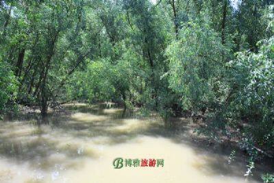 阳东寿长河红树林国家湿地公园
