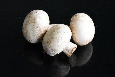蘑菇炖羊肉