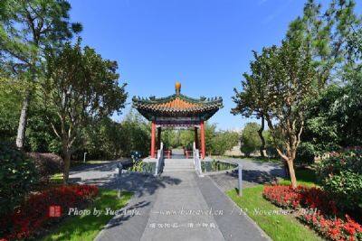 上海亭林遗址公园