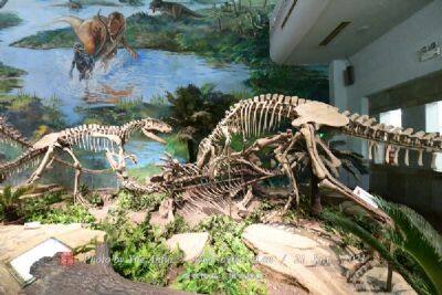 二连盆地白垩纪恐龙国家地质公园