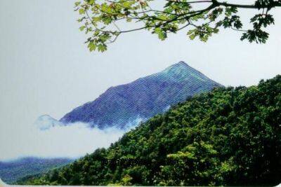 怀集三岳自然保护区