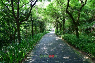 黑龙江桦川国家森林公园