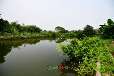岑港河湿地公园