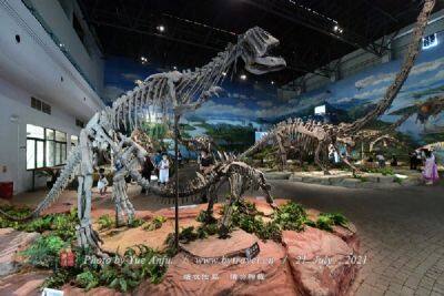古动物化石博物馆