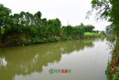 萧县黄河故道湿地省级自然保护区