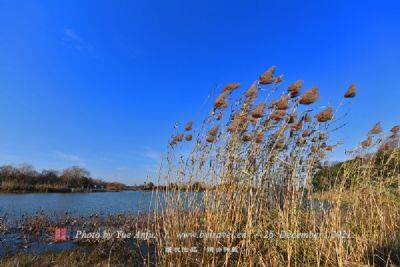 讷谟尔河湿地自然保护区