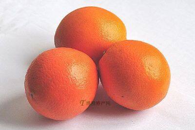 三凤脐橙