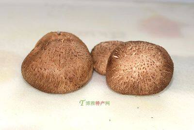 龙泉香菇