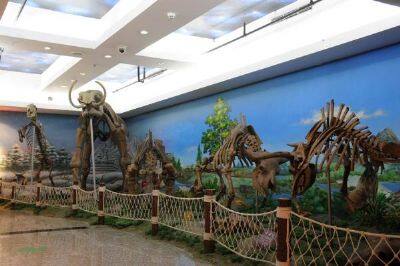 黑龙江省地质博物馆