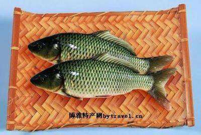 孟津黄河鲤鱼