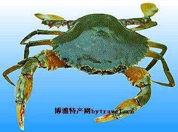 钦州青蟹