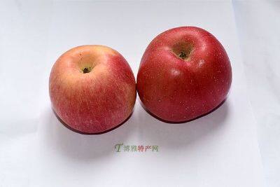 虞城红富士苹果