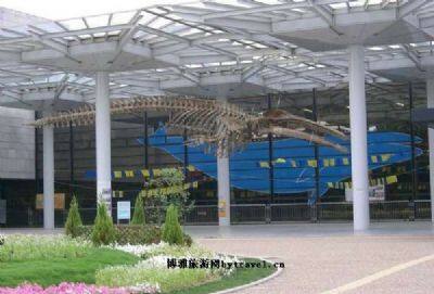 大阪市立自然史博物馆
