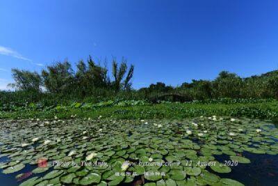 黎香湖湿地生态园