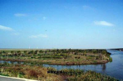 瓜溪桫椤保护区