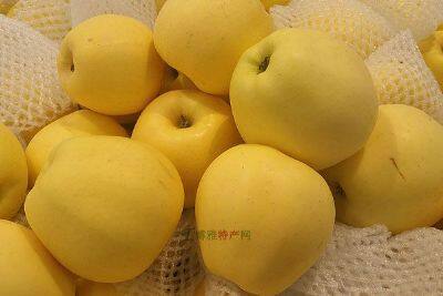 宜川苹果