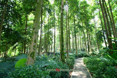 武安国家森林公园