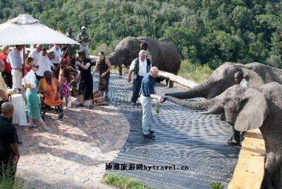 民丹岛大象公园