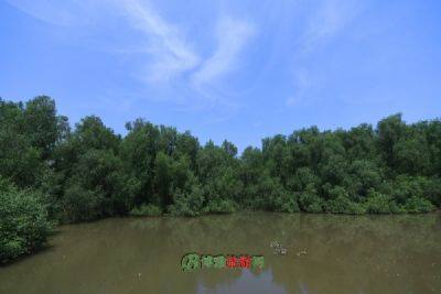 湖南华容东湖国家湿地公园